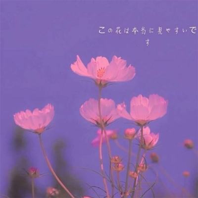 果盘西游界手游下载
